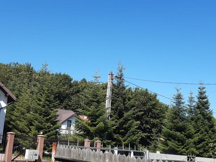OPORTUNITATE: 4.400 mp la marginea PADURII, langa VILE NOI, toate UTILITATILE
