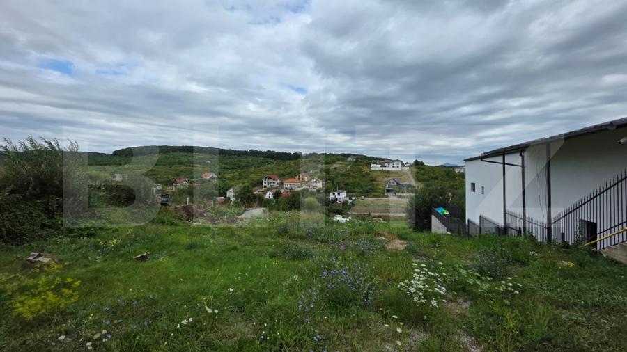 Casa cu 5 camere, 300 mp, teren 17 ari, Valea Rusului