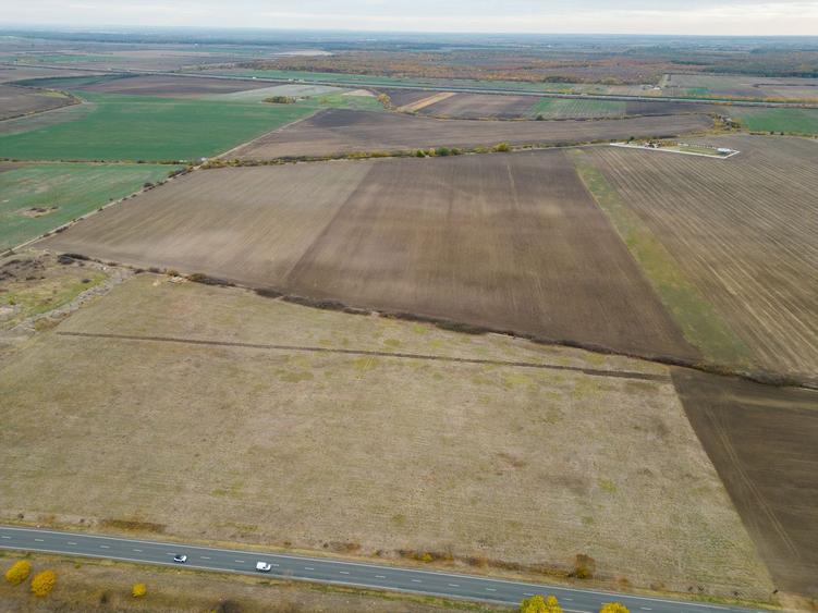 Teren 22.500 mp – Pecica, jud. Arad