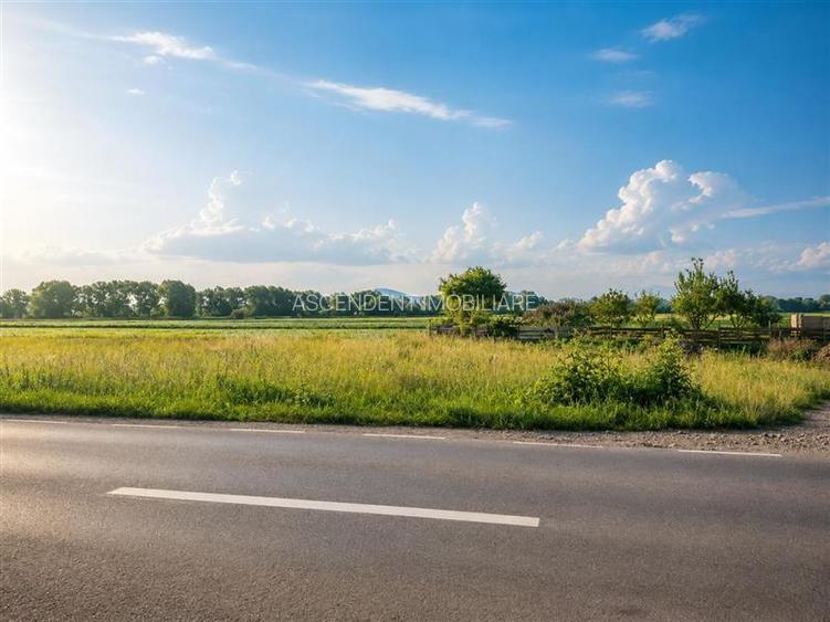 Teren intravilan 10.000 mp, parcelabil, plan, acces asfaltat, Bod, Brasov - 7