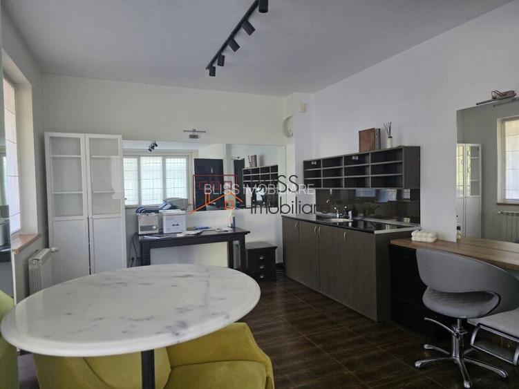 Vila 12 camere Nordului Herastrau rezidential comercial - 8