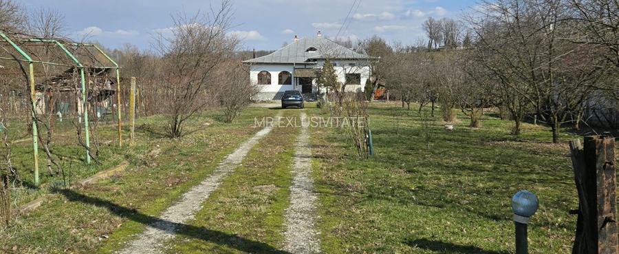Proprietate de excepție în Lelești – la doar 8 km de Târgu Jiu - 44