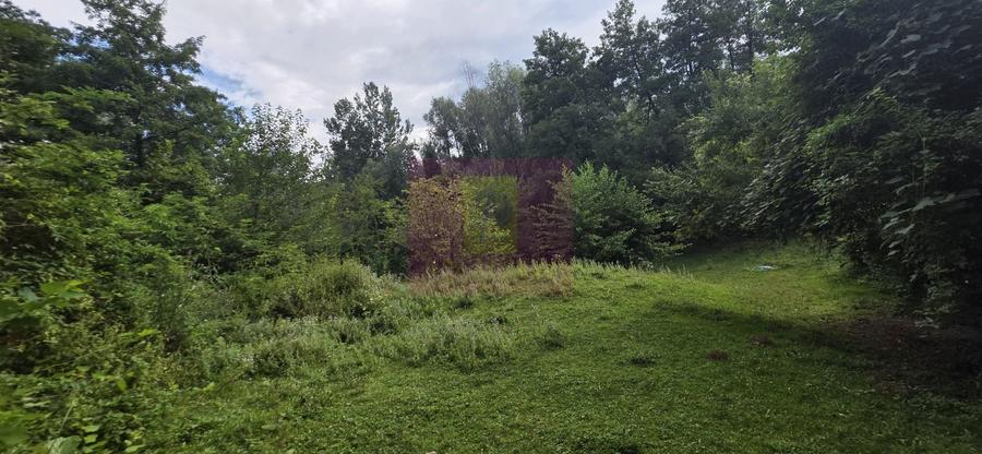 Teren de vanzare 15.000 mp in Telega