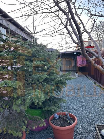 Casă 3 camere de vânzare în Palas – 92 mp utili, teren 200 mp
