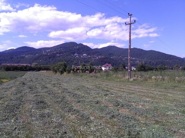 Teren intravilan , Vadurele - 2