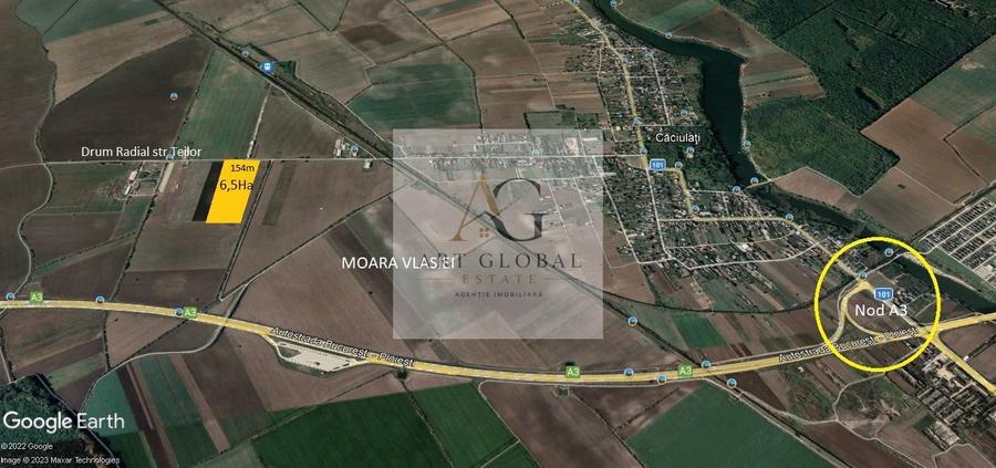 Teren de vanzare Intravilan Caciulati Autostrada A3 Drumul Teilor COMISION 0%