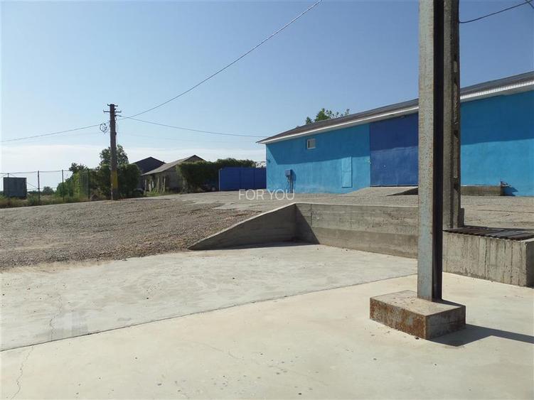 Hala Productie / Depozitare 600 mp + Teren 1000 mp – Magura (Farbe), Bacau – Acc - 7