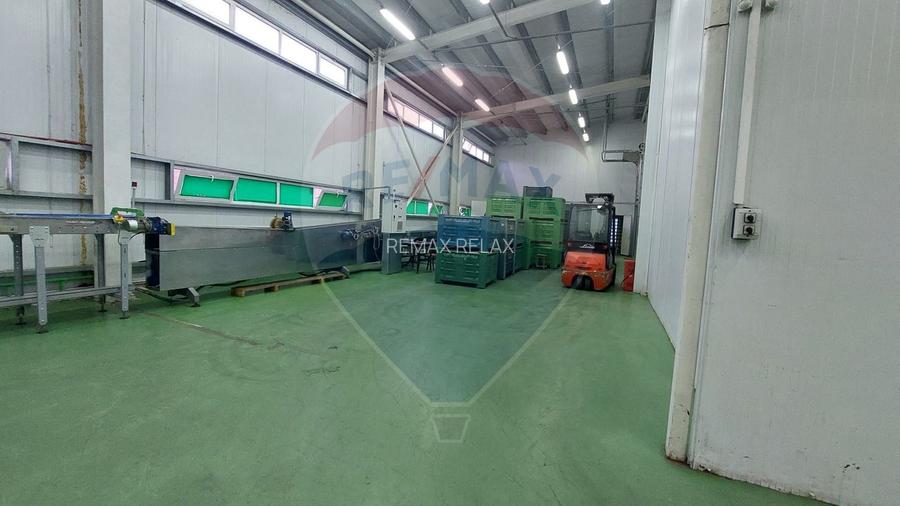 Depozit/Spațiu industrial Vaslui - 0% Comision cumparator - 31