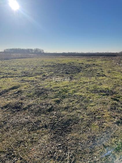 TEREN INTRAVILAN 608 MP – GHIRODA – ZONĂ FOARTE BUNĂ