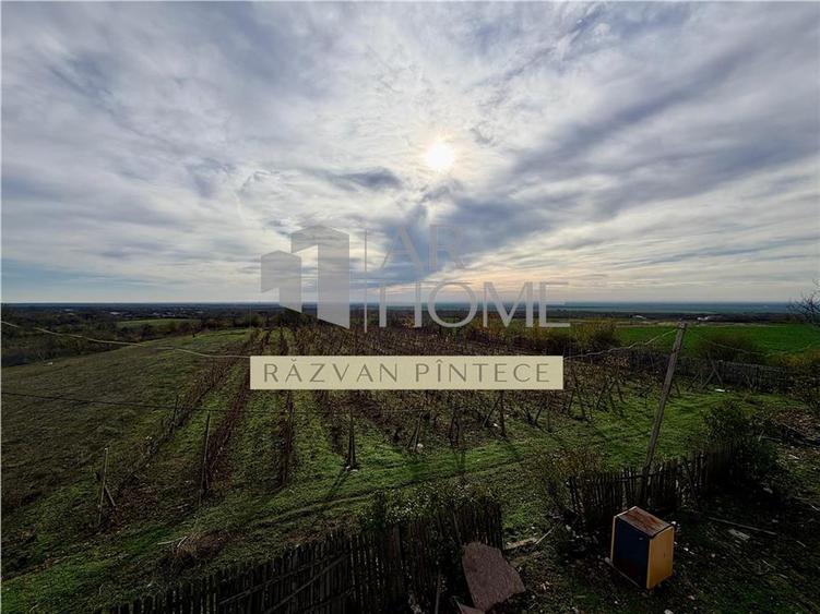 Pensiune 6 camere, teren 12713 mp, Dealul Mare, Urlati, Prahova