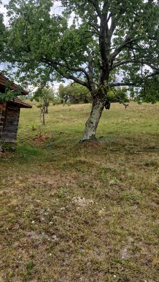 Teren intravilan de vanzare, 26.000 mp, Bulz, Bihor