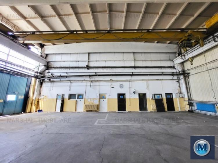 Spatiu industrial de vanzare, zona Sud, 1633 mp #15960