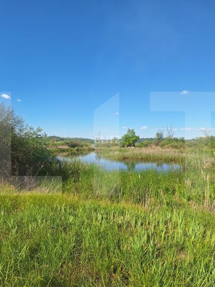 Teren de vânzare 1.600 mp cu deschidere la lac – zona Lacul Surduc - 3