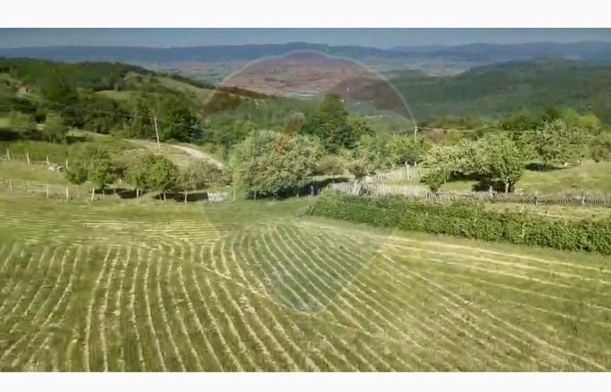 Teren 20.170mp | Livada | Suncuius, Bihor