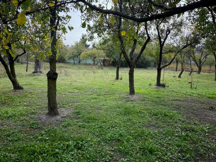 Pitesti-Stefanesti-Crama Stefanesti teren de vanzare Comiaion 0