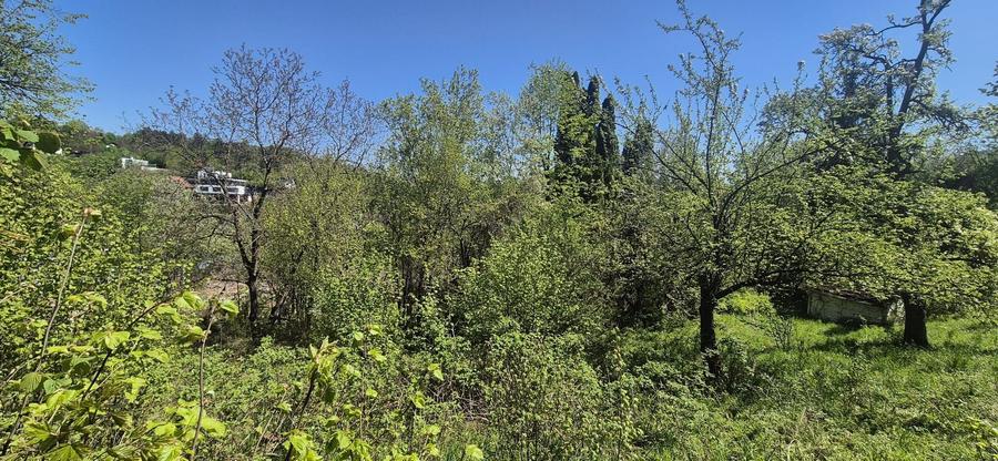 TEREN CU VEDERE PANORAMICA IN CENTRUL ISTORIC AL BRASOVULUI