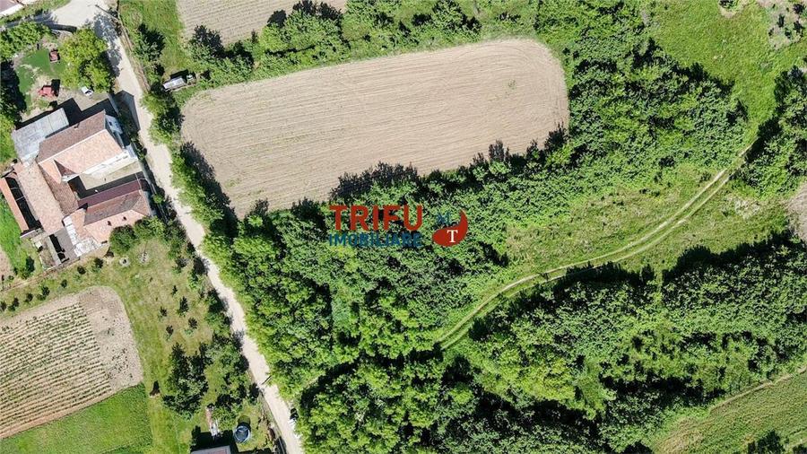 Teren intravilan 4600mp in Oarda de Sus