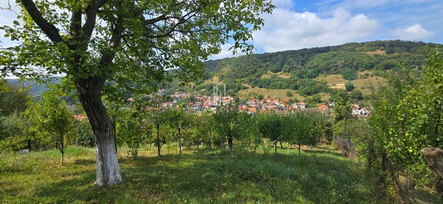 Casă de vânzare în exclusivitate, str. Română nr. 45, Sighisoara