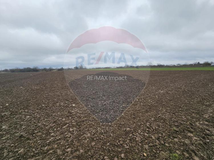 Parcel de teren casa de vanzare Giurgiu Primaria Adunatii-Copaceni - 7