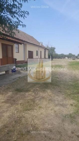 Casă individuală Dudeștii Noi | 2.526 mp teren | Pivniță - 7
