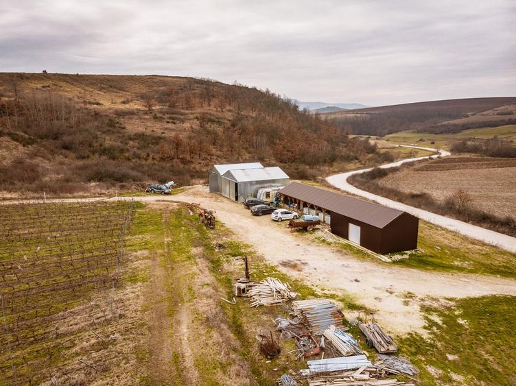 Vie de 115 Hectare în satul Dud, județul Arad