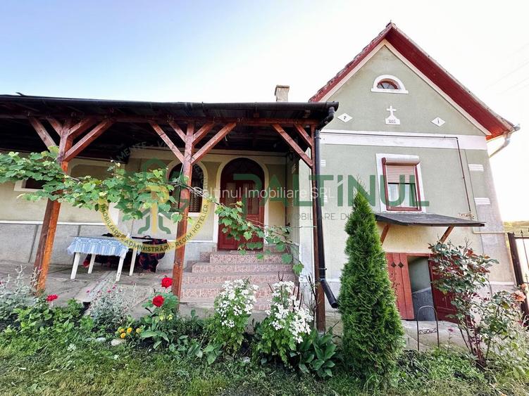 Casă și Teren Generos în Sibiu,  Armeni, Comuna Loamneș - 13
