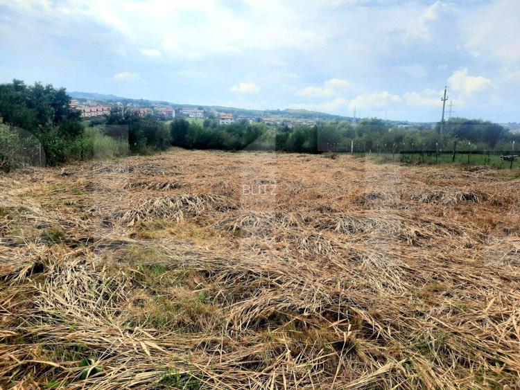 Reducere de pret!Teren intravilan, suprafata de 2506 mp, incadrare UM4, Borhanci - 6