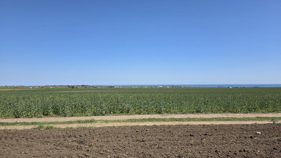 Teren extravilan in Corbu, 5000 MP, zona Plaja Corbu, doar 15 euro/mp