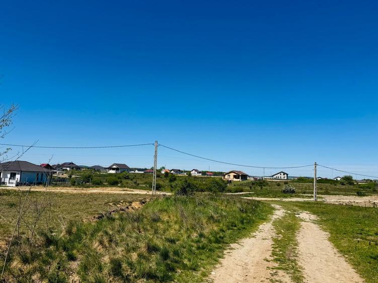 Teren intravilan 3800 mp Alparea lângă pădure