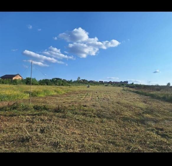 RECO Teren intravilan Paleu