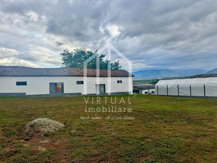 2 hale/depozite, 1850mp, deschidere 35m - Vestem
