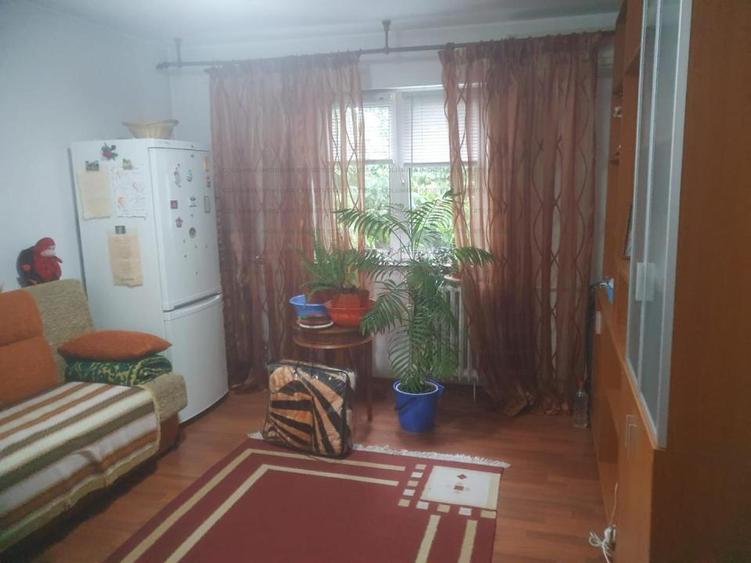Berceni Luica Uioara ideal credit bancar