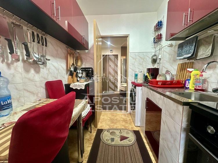 Apartament cu 2 camere de vanzare, zona Sagului, Timisoara - 3