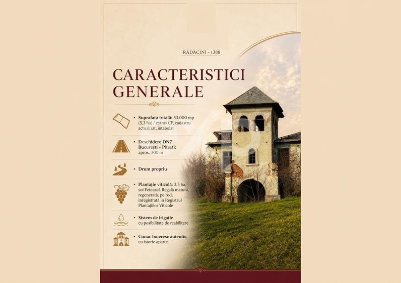 Domeniu viticol 5,5 ha, Conac boieresc | Călinești, Argeș