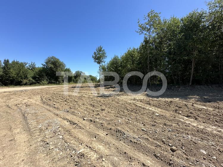Teren extravilan cu utilitati 1800 mp langa Rau pe Valea Sebesului