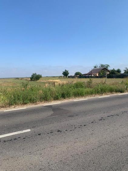 DN1  Snagov  - Peris Niculesti  Vanzare Teren intravilan