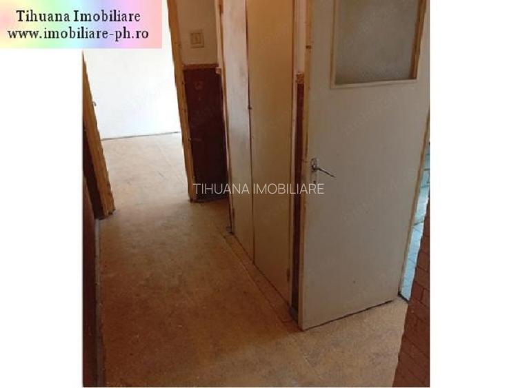 Apartament 3 camere de vanzare : Malu Rosu - 9