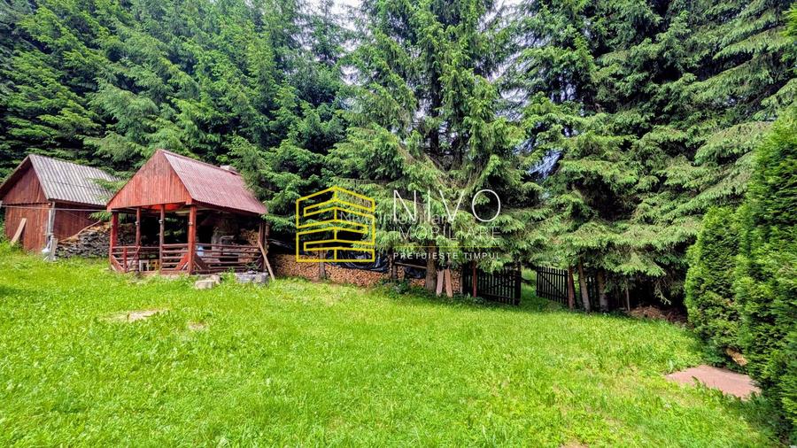 Cabană – Mureș – Sălard – Zona Pensiunea Denisa - 16