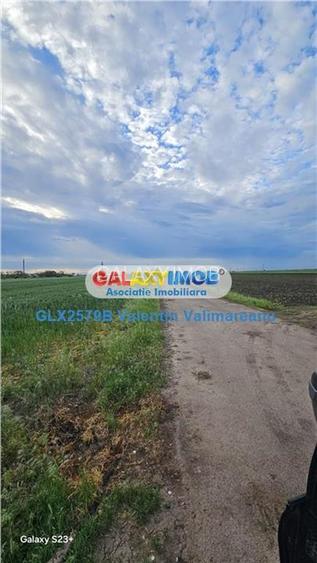 Teren intravilan ideal investitie parcelabil Fundulea COD 251 - 4