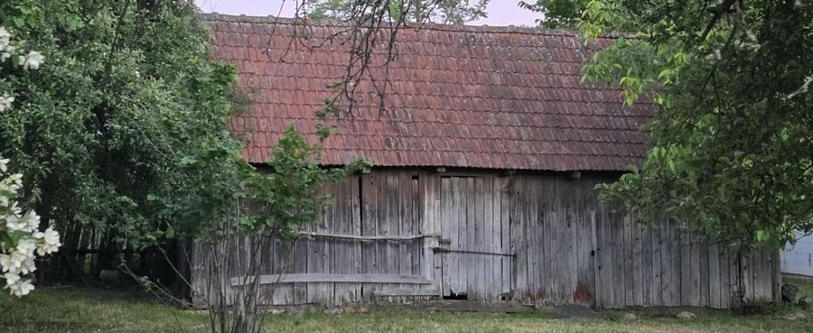 Casă cu 7.769 mp teren și pădure | Budieni | 53.000€