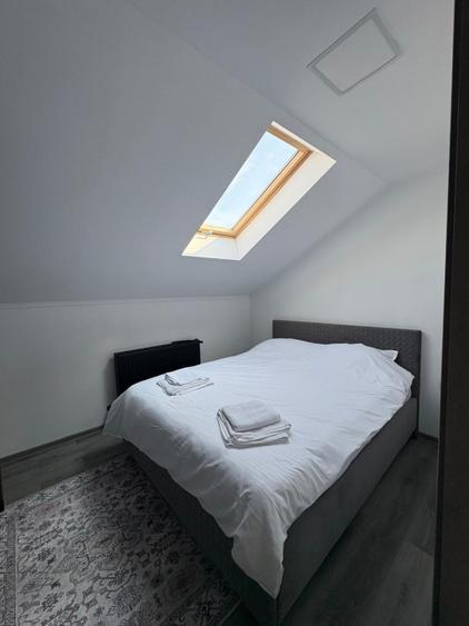 Casă P+M, 145 mp, 700 mp teren, 5 dormitoare, zonă Bușag