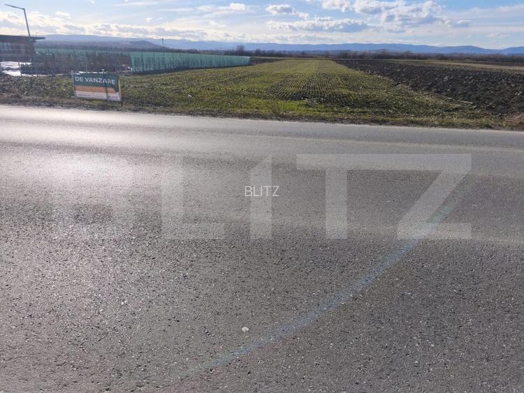 Teren intravilan ,4900 mp , 25ml front, Fratautii Vechi, Radauti - 6