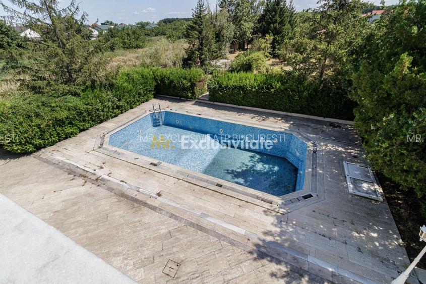 Domeniu privat 5.000 mp, cu reședință de 625 mp și piscină, Corbeanca - 38