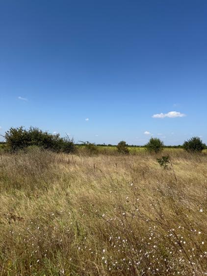 Teren intravilan 2.140 mp Otopeni – dezmembrat cadastral pentru 4 case