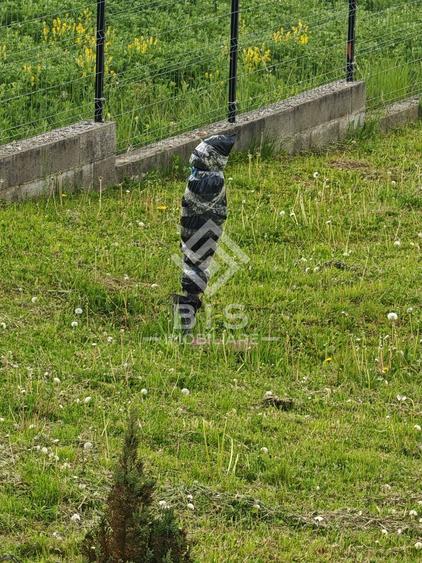 Teren în Crainimăt cu Proiect de Casă Inclus – Gata de Construcție!