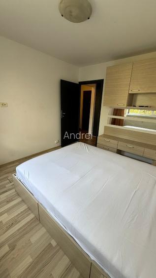 Proprietar, Drumul Taberei, Valea Argesului, Aleea Parva - 5