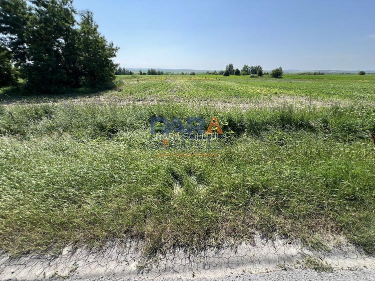 Teren 9969 mp, situat la E85, între două intrări pe autostrada A7 - 5