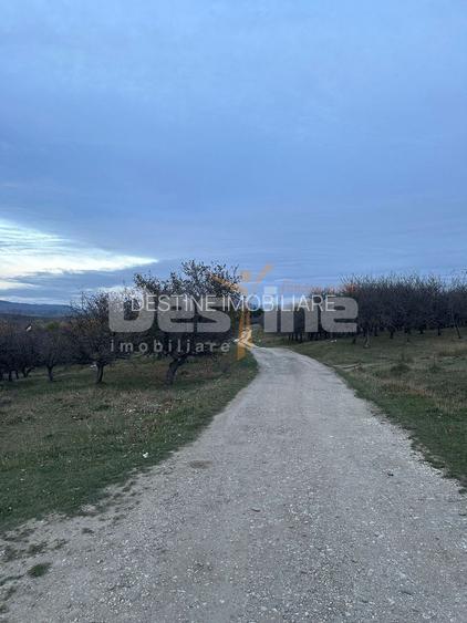 Teren de Vânzare – 34.485 mp | Câmpulung Muscel | Vedere Panoramică - 7