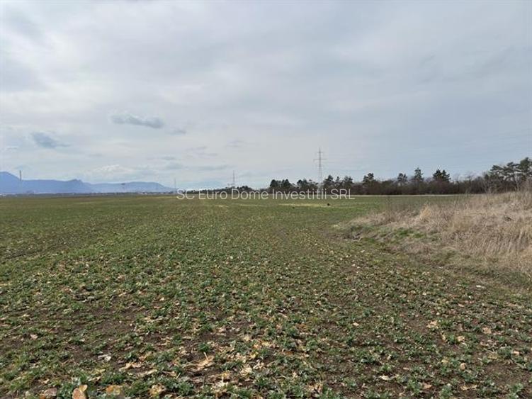 Teren  pentru depozitare sau activitati industriale langa DN 11  - 5