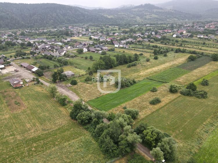 Teren Malini 3600mp | Suceava | Bucovina - 4